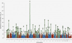 20160127-graph-chromosome-6 şizofreni yeni